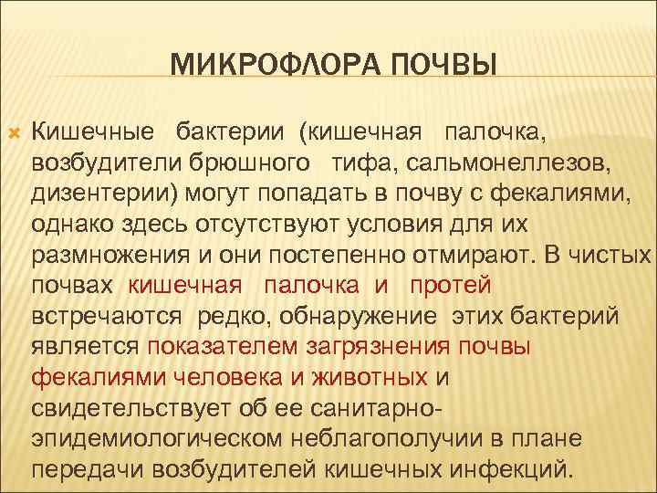 МИКРОФЛОРА ПОЧВЫ Кишечные бактерии (кишечная палочка, возбудители брюшного тифа, сальмонеллезов, дизентерии) могут попадать в