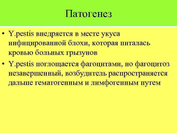 Патогенез • Y. pestis внедряется в месте укуса инфицированной блохи, которая питалась кровью больных