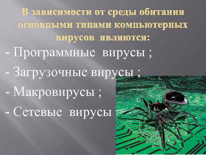 В зависимости от среды обитания основными типами компьютерных вирусов являются: - Программные вирусы ;