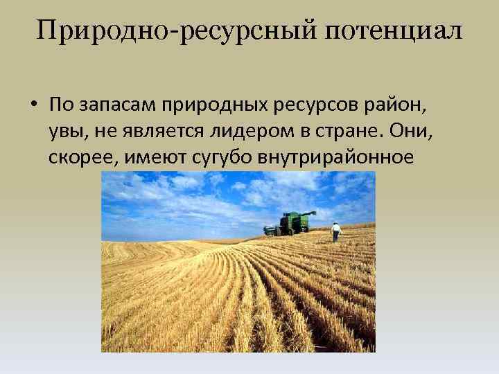 Природно ресурсный потенциал • По запасам природных ресурсов район, увы, не является лидером в