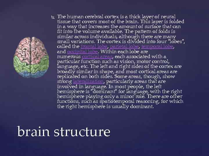  The human cerebral cortex is a thick layer of neural tissue that covers