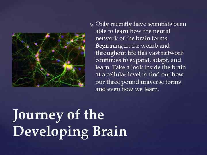  Only recently have scientists been able to learn how the neural network of