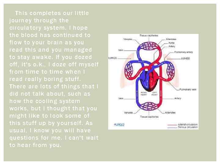 This completes our little journey through the circulatory system. I hope the blood has