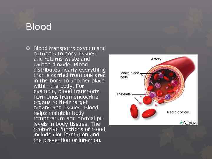 Blood transports oxygen and nutrients to body tissues and returns waste and carbon dioxide.