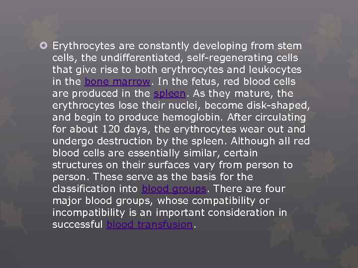  Erythrocytes are constantly developing from stem cells, the undifferentiated, self-regenerating cells that give