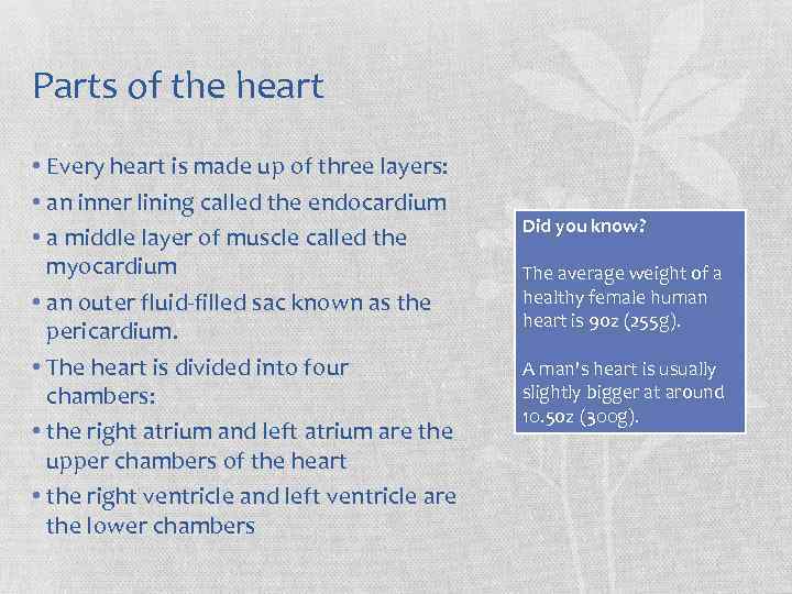 Parts of the heart • Every heart is made up of three layers: •