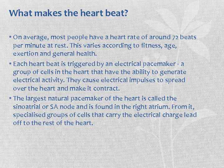 What makes the heart beat? • On average, most people have a heart rate