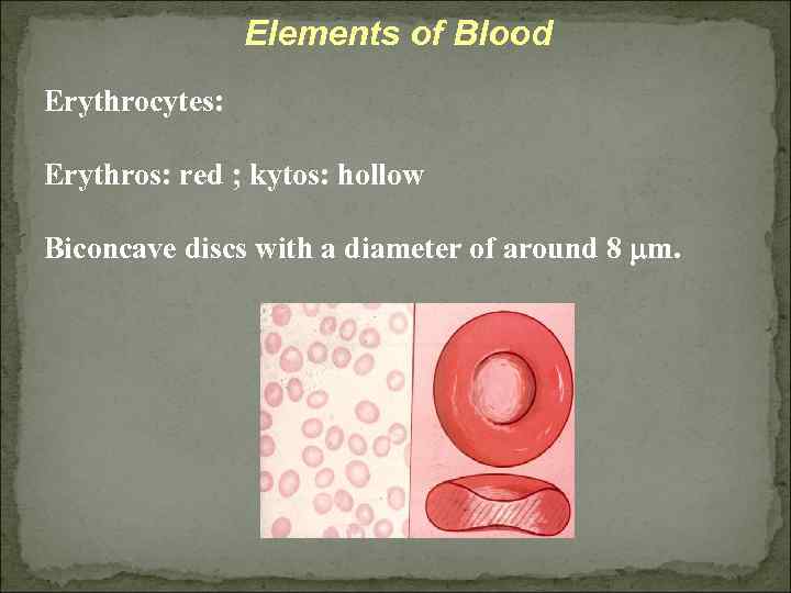 Elements of Blood Erythrocytes: Erythros: red ; kytos: hollow Biconcave discs with a diameter