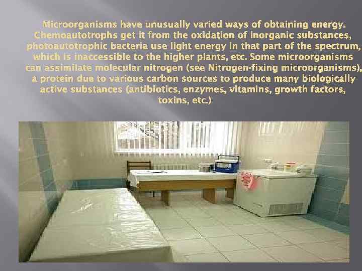 Microorganisms have unusually varied ways of obtaining energy. Chemoautotrophs get it from the oxidation