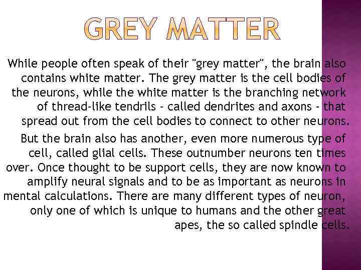 While people often speak of their "grey matter", the brain also contains white matter.
