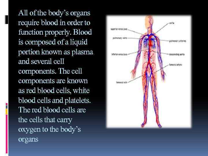 All of the body’s organs require blood in order to function properly. Blood is