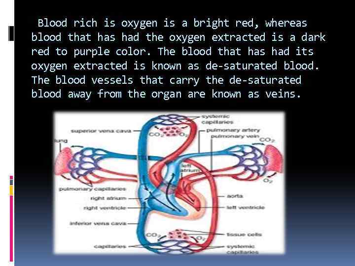 Blood rich is oxygen is a bright red, whereas blood that has had the