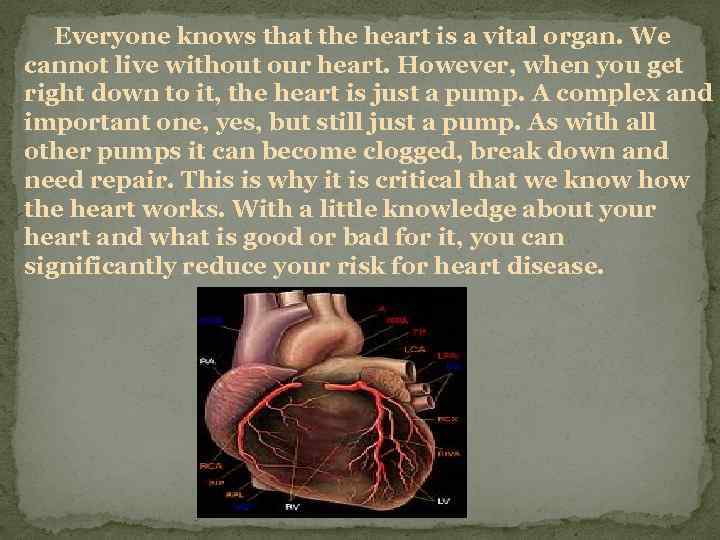 Everyone knows that the heart is a vital organ. We cannot live without our