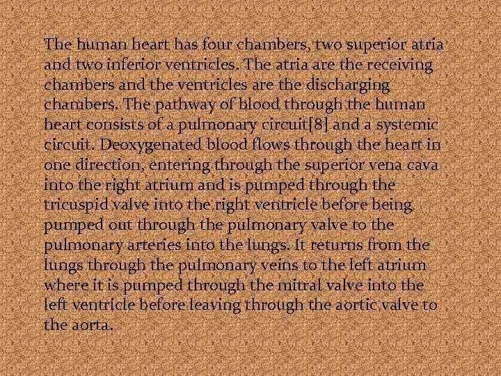 The human heart has four chambers, two superior atria and two inferior ventricles. The