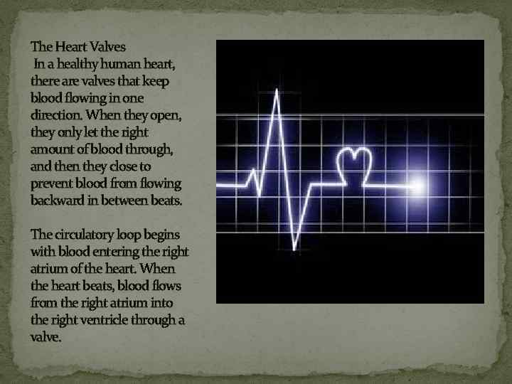 The Heart Valves In a healthy human heart, there are valves that keep blood