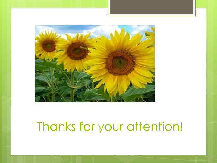 Thanks for your attention! 