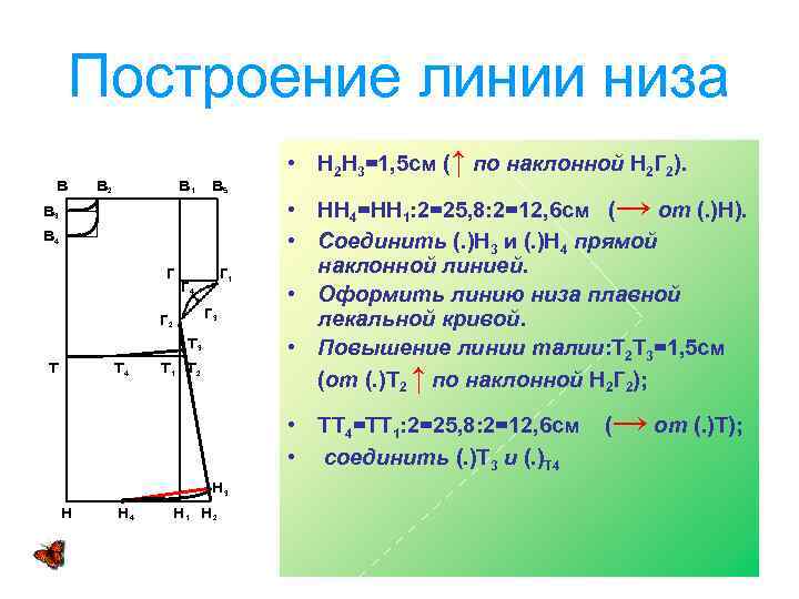 Построение линии низа в в в 2 в 1 • Н 2 Н 3=1,