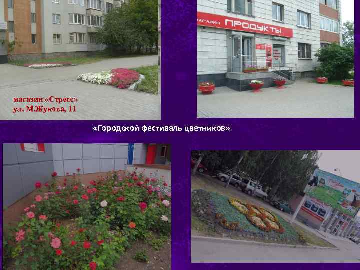 магазин «Стресс» ул. М. Жукова, 11 «Городской фестиваль цветников» 