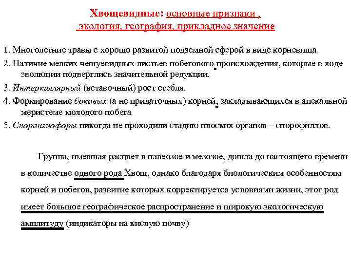 Хвощевидные: основные признаки , экология, география, прикладное значение 1. Многолетние травы с хорошо развитой