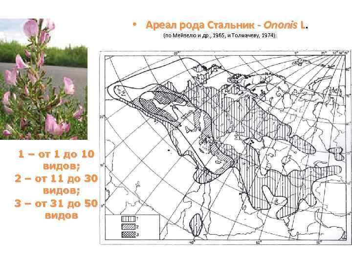 Методы изображения ареала