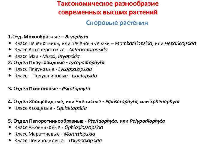 Таксономическое разнообразие современных высших растений Споровые растения 1. Отд. Мохообразные – Bryophyta Класс Печеночники,