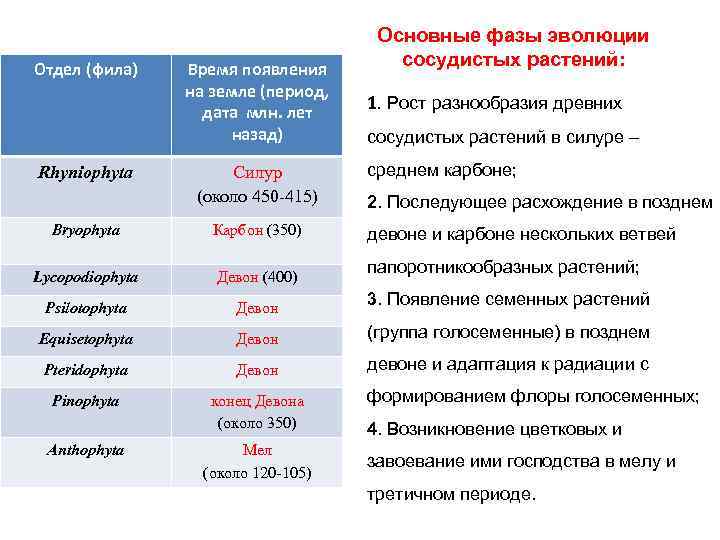 Отдел (фила) Rhyniophyta Время появления на земле (период, дата млн. лет назад) Силур (около