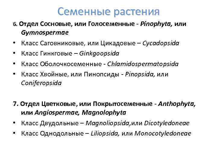 Семенные растения 6. Отдел Сосновые, или Голосеменные - Pinophyta, или • • Gymnospermae Класс
