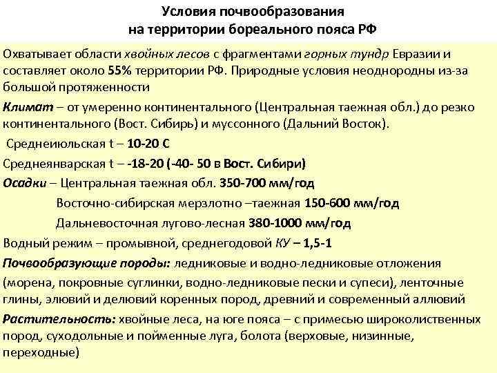 Условия почвообразования на территории бореального пояса РФ Охватывает области хвойных лесов с фрагментами горных