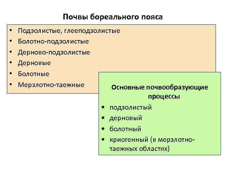 Почвы бореального пояса • • • Подзолистые, глееподзолистые Болотно-подзолистые Дерновые Болотные Мерзлотно-таежные Основные почвообразующие