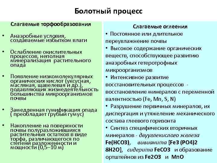 Болотный процесс Слагаемые торфообразования • Анаэробные условия, создаваемые избытком влаги • Ослабление окислительных процессов,