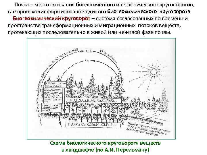 Почва – место смыкания биологического и геологического круговоротов, где происходит формирование единого биогеохимического круговорота