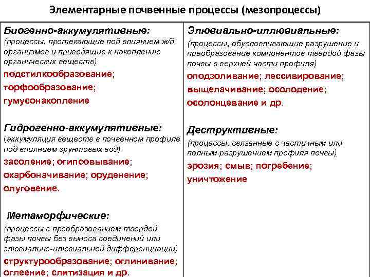 Элементарные почвенные процессы (мезопроцессы) Биогенно-аккумулятивные: Элювиально-иллювиальные: (процессы, протекающие под влиянием ж/д организмов и приводящие