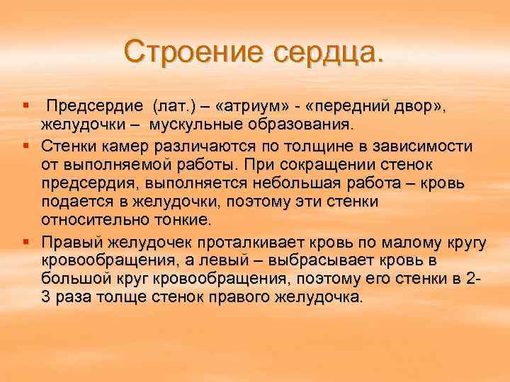 Строение сердца. § Предсердие (лат. ) – «атриум» - «передний двор» , желудочки –