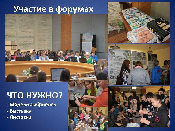  Участие в форумах ЧТО НУЖНО? - Модели эмбрионов - Выставка - Листовки 