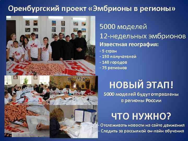  Оренбургский проект «Эмбрионы в регионы» 5000 моделей 12 -недельных эмбрионов Известная география: -