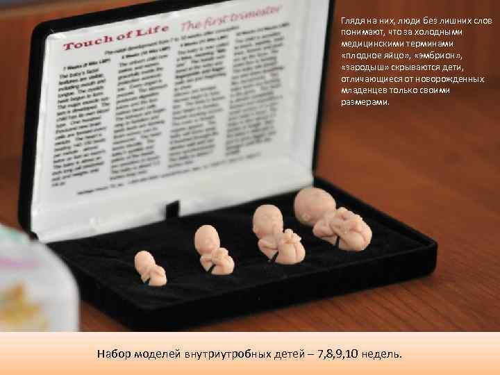 Глядя на них, люди без лишних слов понимают, что за холодными медицинскими терминами «плодное