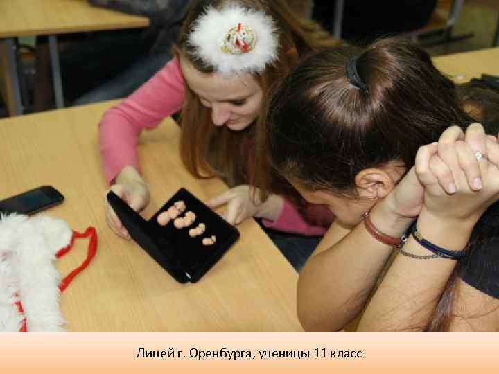 Лицей г. Оренбурга, ученицы 11 класс 