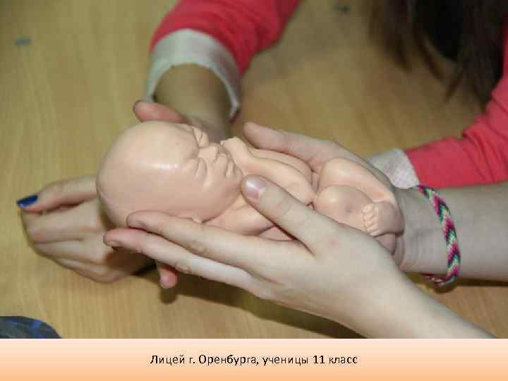 Лицей г. Оренбурга, ученицы 11 класс 