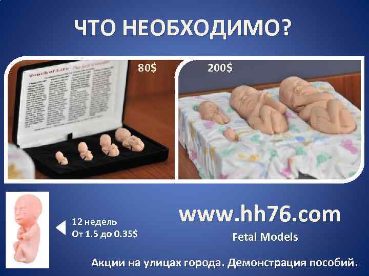 ЧТО НЕОБХОДИМО? 80$ 12 недель От 1. 5 до 0. 35$ 200$ www. hh