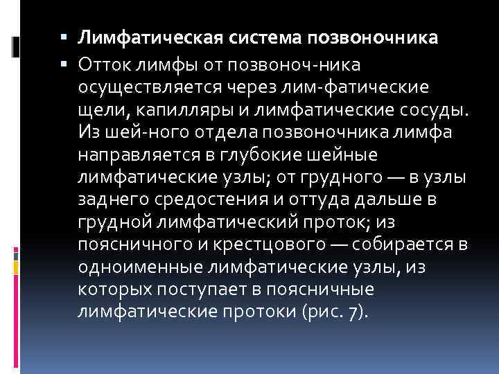  Лимфатическая система позвоночника Отток лимфы от позвоноч ника осуществляется через лим фатические щели,
