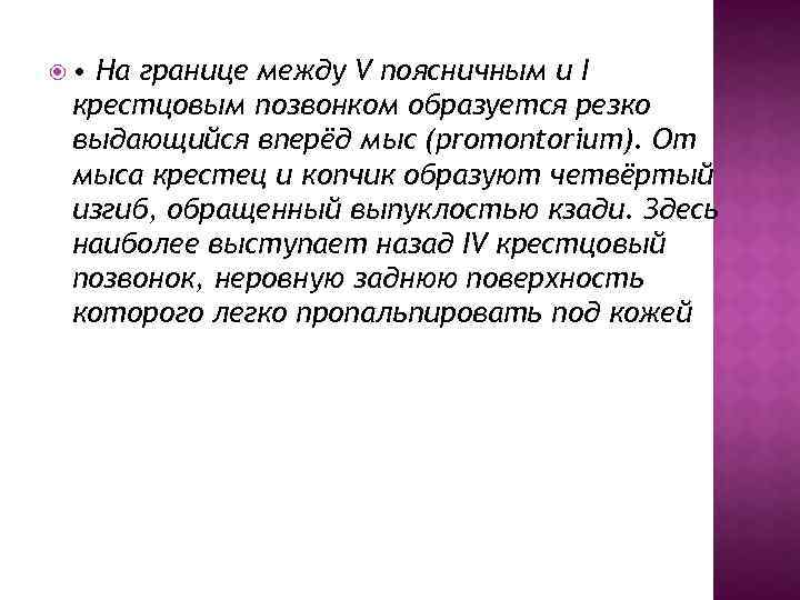  • На границе между V поясничным и I крестцовым позвонком образуется резко выдающийся