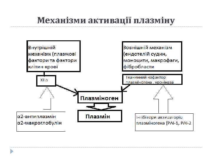 Механізми активації плазміну 
