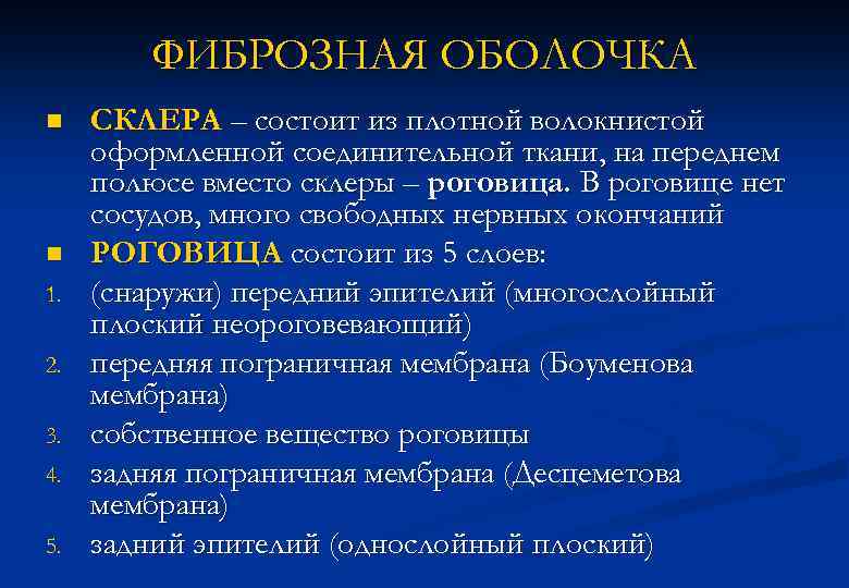 ФИБРОЗНАЯ ОБОЛОЧКА n n 1. 2. 3. 4. 5. СКЛЕРА – состоит из плотной