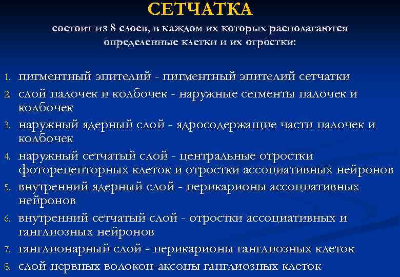 СЕТЧАТКА состоит из 8 слоев, в каждом их которых располагаются определенные клетки и их