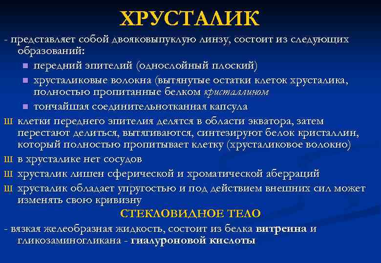 ХРУСТАЛИК - представляет собой двояковыпуклую линзу, состоит из следующих образований: n передний эпителий (однослойный