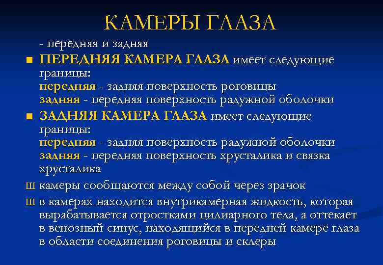 КАМЕРЫ ГЛАЗА - передняя и задняя n ПЕРЕДНЯЯ КАМЕРА ГЛАЗА имеет следующие границы: передняя