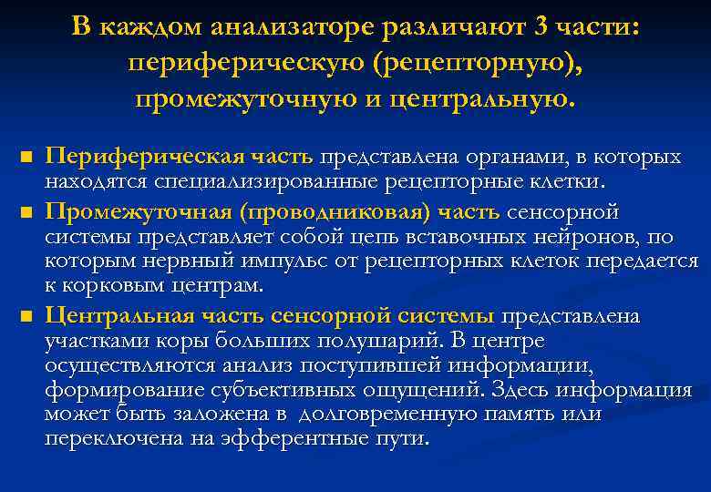 В каждом анализаторе различают 3 части: периферическую (рецепторную), промежуточную и центральную. n n n