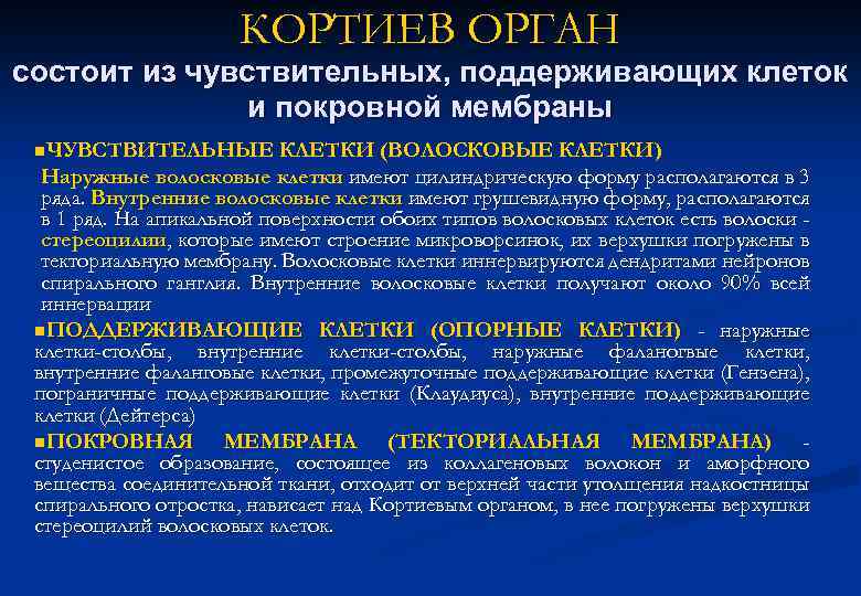 КОРТИЕВ ОРГАН состоит из чувствительных, поддерживающих клеток и покровной мембраны n. ЧУВСТВИТЕЛЬНЫЕ КЛЕТКИ (ВОЛОСКОВЫЕ