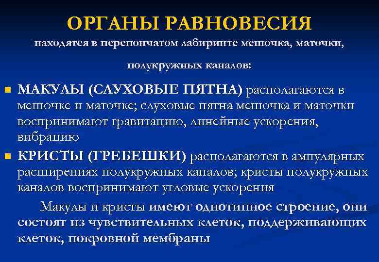 ОРГАНЫ РАВНОВЕСИЯ находятся в перепончатом лабиринте мешочка, маточки, полукружных каналов: n n МАКУЛЫ (СЛУХОВЫЕ
