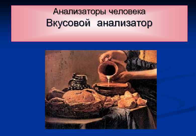 Анализаторы человека Вкусовой анализатор 